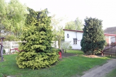 Galeria zdjęć Sochowej Zagrody - podwórko i przyroda (26)