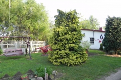 Galeria zdjęć Sochowej Zagrody - podwórko i przyroda (40)