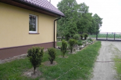 Galeria zdjęć Sochowej Zagrody - podwórko i przyroda (53)