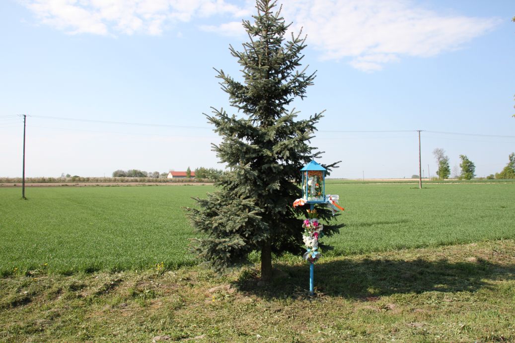 2020-05-10 Wylezinek kapliczka nr1 (2)