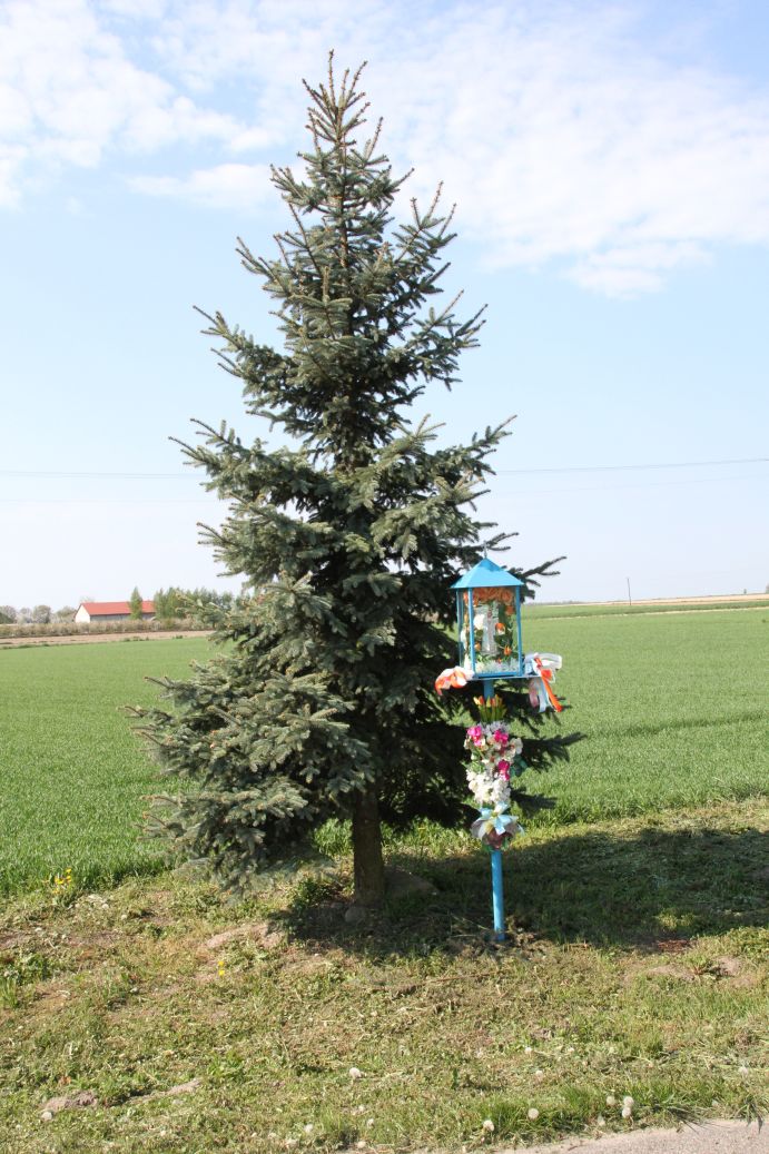 2020-05-10 Wylezinek kapliczka nr1 (3)