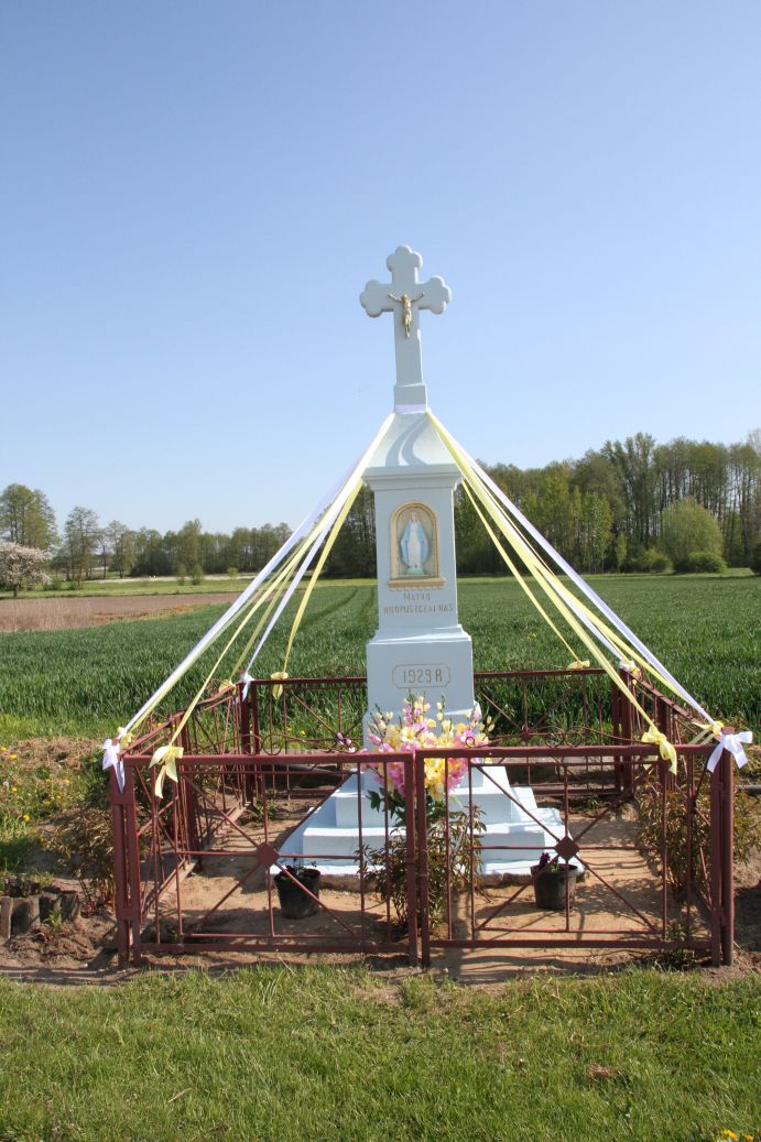 2020-05-10 Wylezinek kapliczka nr2 (3)