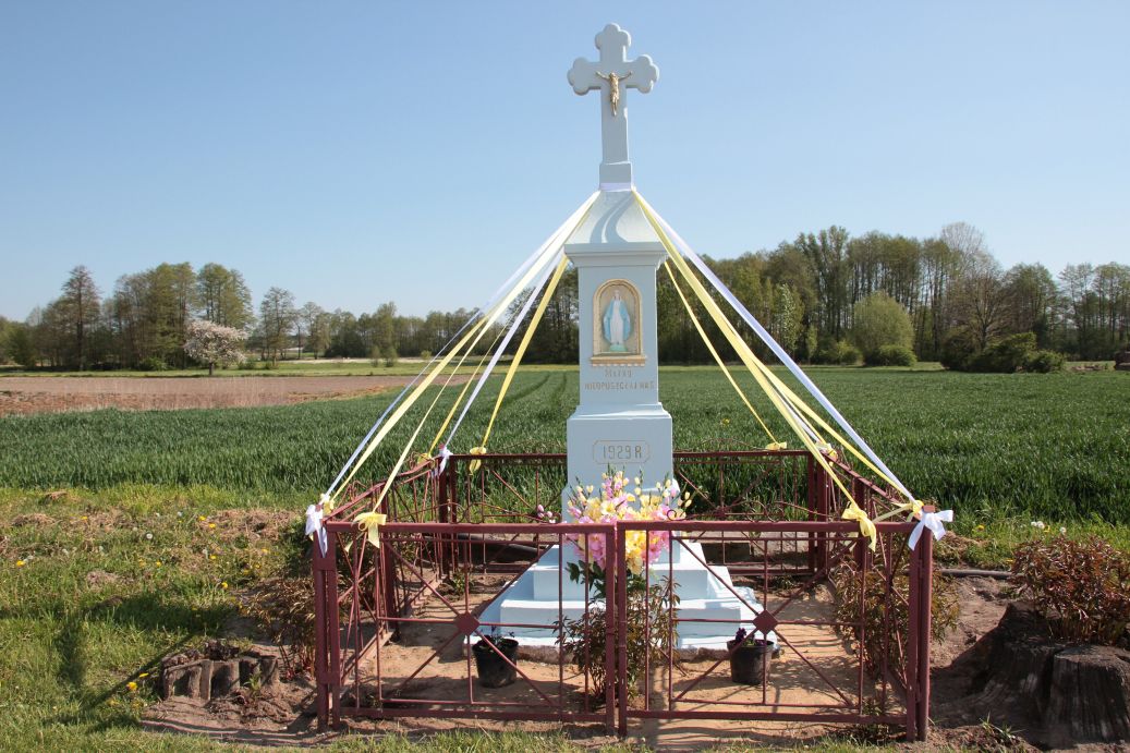 2020-05-10 Wylezinek kapliczka nr2 (4)