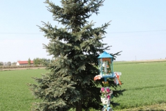 2020-05-10 Wylezinek kapliczka nr1 (3)