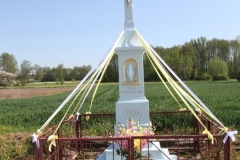 2020-05-10 Wylezinek kapliczka nr2 (3)