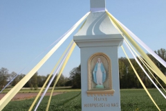 2020-05-10 Wylezinek kapliczka nr2 (5)