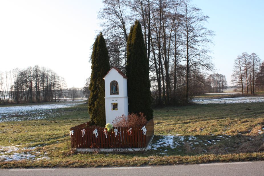 2019-02-08 Wysokienice kapliczka nr6 (3)