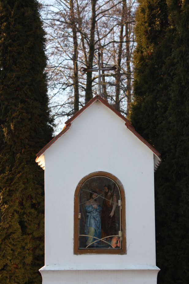 2019-02-08 Wysokienice kapliczka nr6 (7)