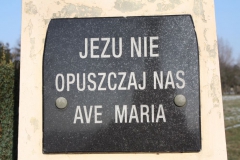 2019-02-08 Wysokienice kapliczka nr2 (8)