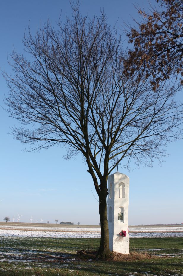2019-02-08 Złota kapliczka nr2 (16)