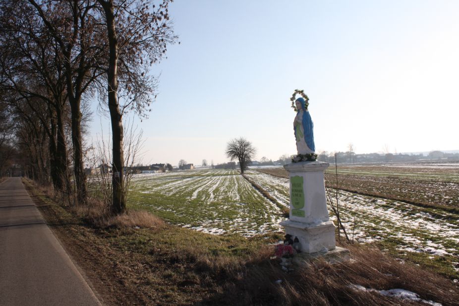 2019-02-08 Złota kapliczka nr3 (12)