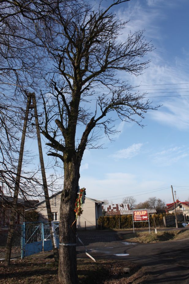 2019-02-10 Złota kapliczka nr6 (8)