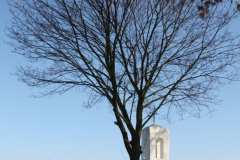 2019-02-08 Złota kapliczka nr2 (16)