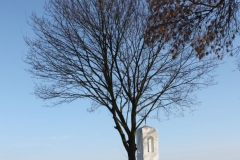 2019-02-08 Złota kapliczka nr2 (17)