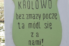 2019-02-08 Złota kapliczka nr3 (7)