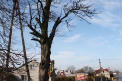 2019-02-10 Złota kapliczka nr6 (1)