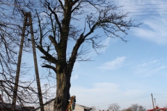 2019-02-10 Złota kapliczka nr6 (8)