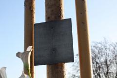 2019-02-10 Złota krzyż nr4 (8)