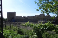 2012-07-22 Inowłódz - Ruiny zamku (15)