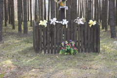 2019-04-07 Wólka Ligęzowska krzyż nr1 (5)