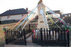 2019-03-02 Wygnanów kapliczka nr2 (9)