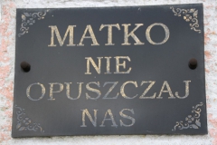 2019-12-29 Wysokin kapliczka nr3 (6)