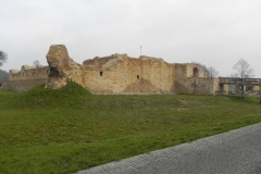 2013-11-17 Inowłódz - Ruiny zamku (11)