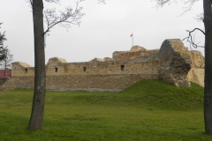 2013-11-17 Inowłódz - Ruiny zamku (13)