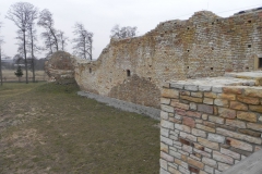 2014-01-05 Inowłódz - Ruiny zamku (15)