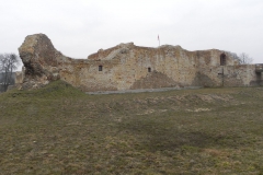 2014-01-05 Inowłódz - Ruiny zamku (16)