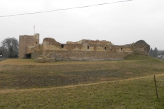2014-01-05 Inowłódz - Ruiny zamku (20)