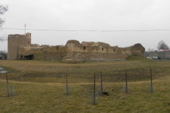 2014-01-05 Inowłódz - Ruiny zamku (21)