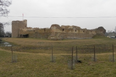 2014-01-05 Inowłódz - Ruiny zamku (22)