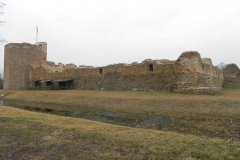 2014-01-05 Inowłódz - Ruiny zamku (24)