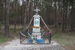 2019-04-07 Kłonna kapliczka nr2 (3)
