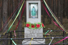 2019-04-07 Kłonna kapliczka nr2 (5)