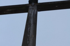 2019-01-15 Chociw krzyż nr1 (8)