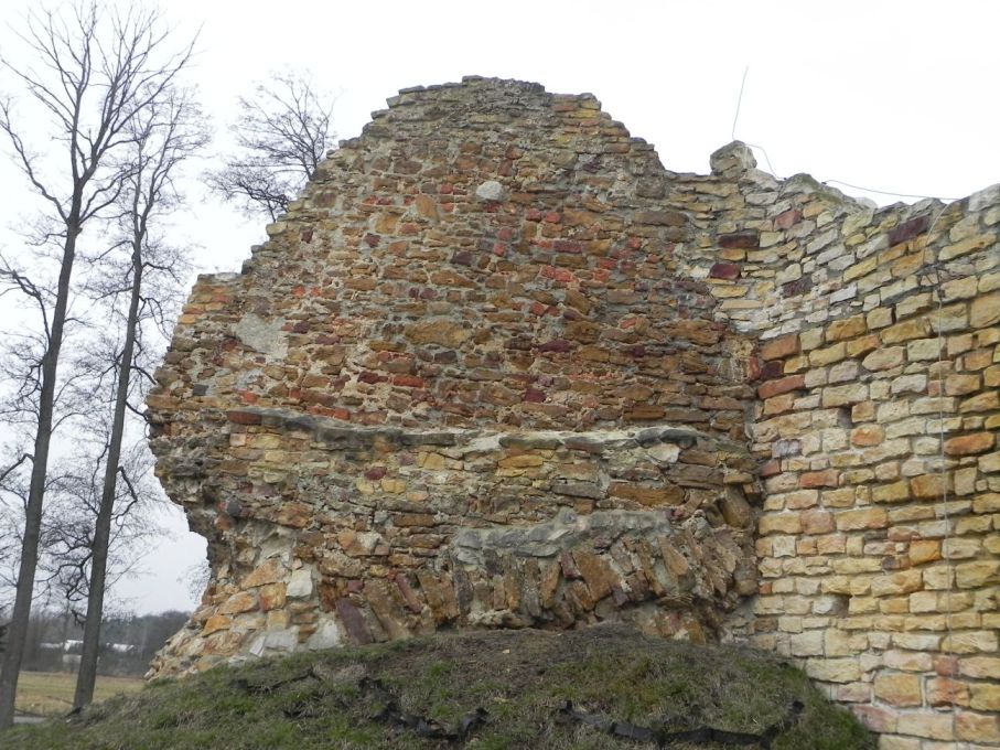 2017-01-01 Inowłódz - Ruiny zamku (25)
