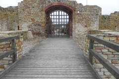 2017-01-01 Inowłódz - Ruiny zamku (21)