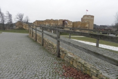 2017-01-01 Inowłódz - Ruiny zamku (22)