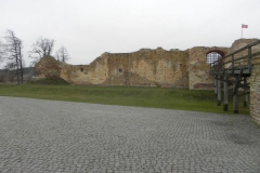 2017-01-01 Inowłódz - Ruiny zamku (23)