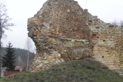 2017-01-01 Inowłódz - Ruiny zamku (24)