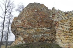2017-01-01 Inowłódz - Ruiny zamku (25)