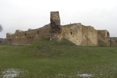 2017-01-01 Inowłódz - Ruiny zamku (26)