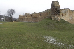 2017-01-01 Inowłódz - Ruiny zamku (27)