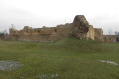 2017-01-01 Inowłódz - Ruiny zamku (29)