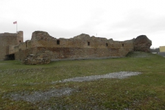 2017-01-01 Inowłódz - Ruiny zamku (30)