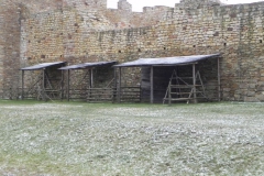 2017-01-01 Inowłódz - Ruiny zamku (33)