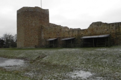 2017-01-01 Inowłódz - Ruiny zamku (35)