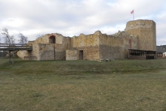 2018-01-14 Inowłódz - ruiny zamku (8)